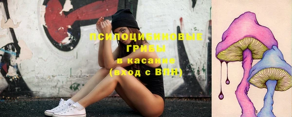 COCAINE Шали