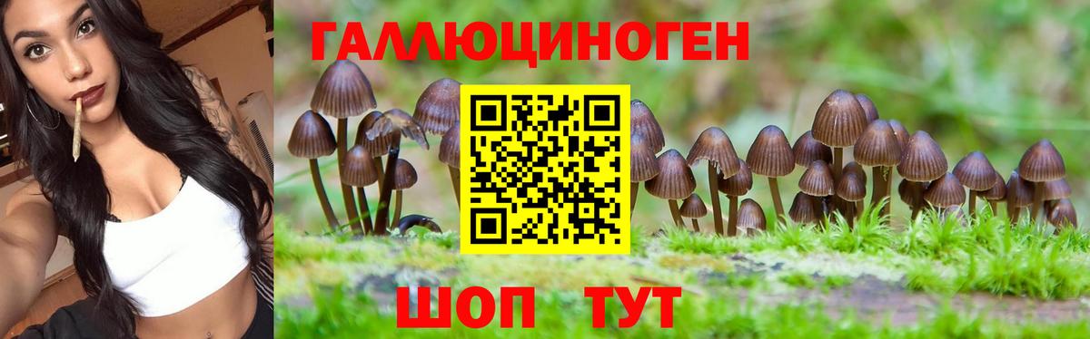Галлюциногенные грибы Cubensis Ярцево